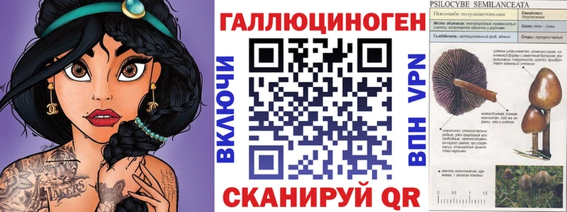 купить наркотики цена  ссылка на мегу как войти  Псилоцибиновые грибы Psilocybe  Чишмы 